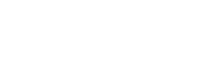 The Old Town Ale House